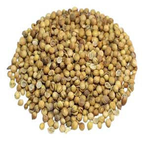 Coriander (Dhonia) 100 gm