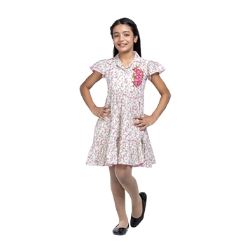 Baby Girls - Light Grey Printed and Embroidered Cotton Frock