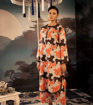 Women's 2 Piece Salwar Kameez Set