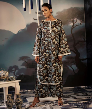 Elegant Ensemble: Women's 2 Piece Salwar Kameez Set