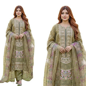 Women Dress - Georgette Pakistani Salwar Suits-1