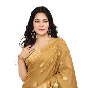Women’s Aesthetic Design Half Silk Saree