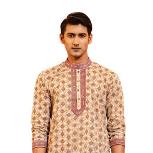 Multicolor cotton printed & embroidered regular fit ekchart Panjabi